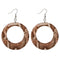 Snake Print Resin Hoop Earrings